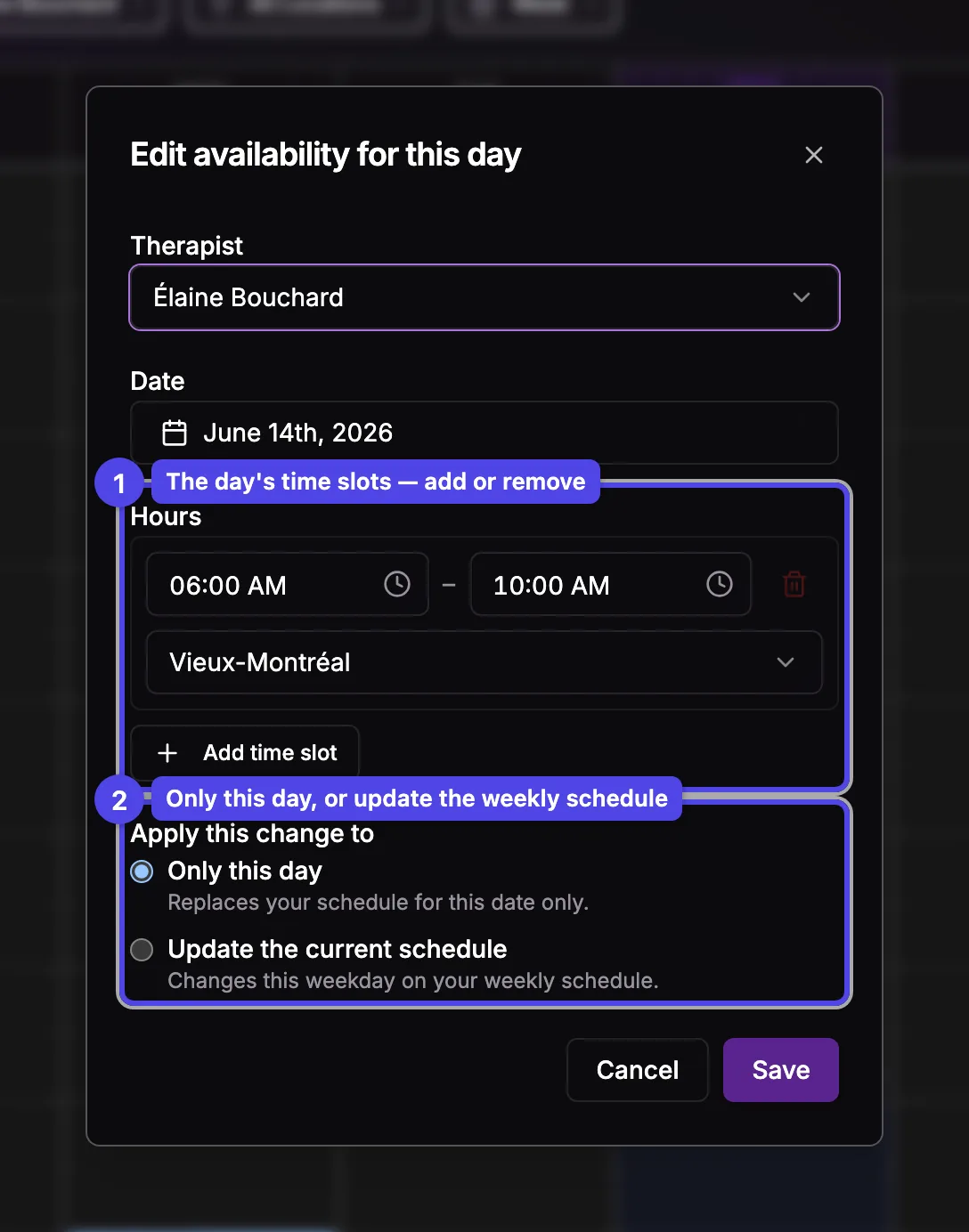 The Edit availability for this day dialog: the day's time slots and the Only this day / Update the schedule chooser