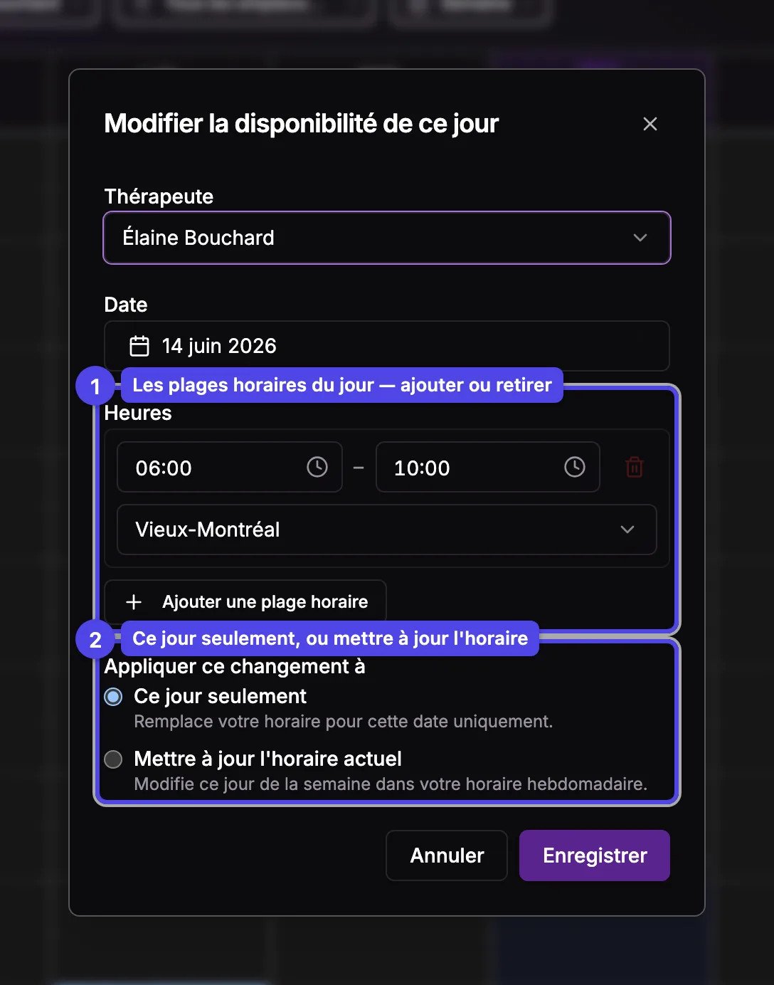 La fenêtre Modifier la disponibilité de ce jour : les plages horaires de la journée et le choix Ce jour seulement / Mettre à jour l'horaire